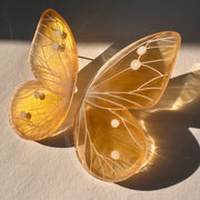 Aros Ilustración Mariposa Dorada Translúcida XL